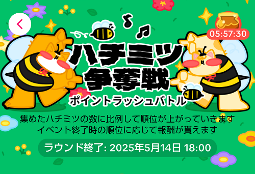 ハチミツ争奪戦